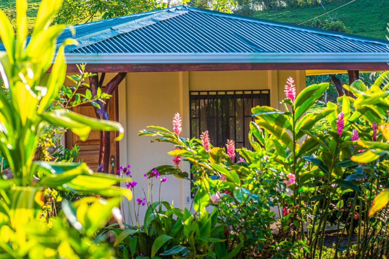 Rio Celeste Springs Blue Lodge Bujagua Buitenkant foto